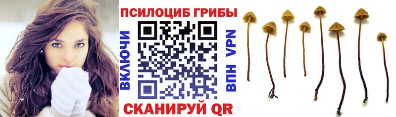 Псилоцибиновые грибы Magic Shrooms  Сафоново 
